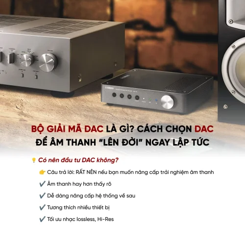 Bộ giải mã DAC là gì? Cách chọn bộ giải mã âm thanh DAC tốt nhất 10 Bo giai ma DAC la gi Cach chon bo giai ma am thanh DAC tot nhat 6 500