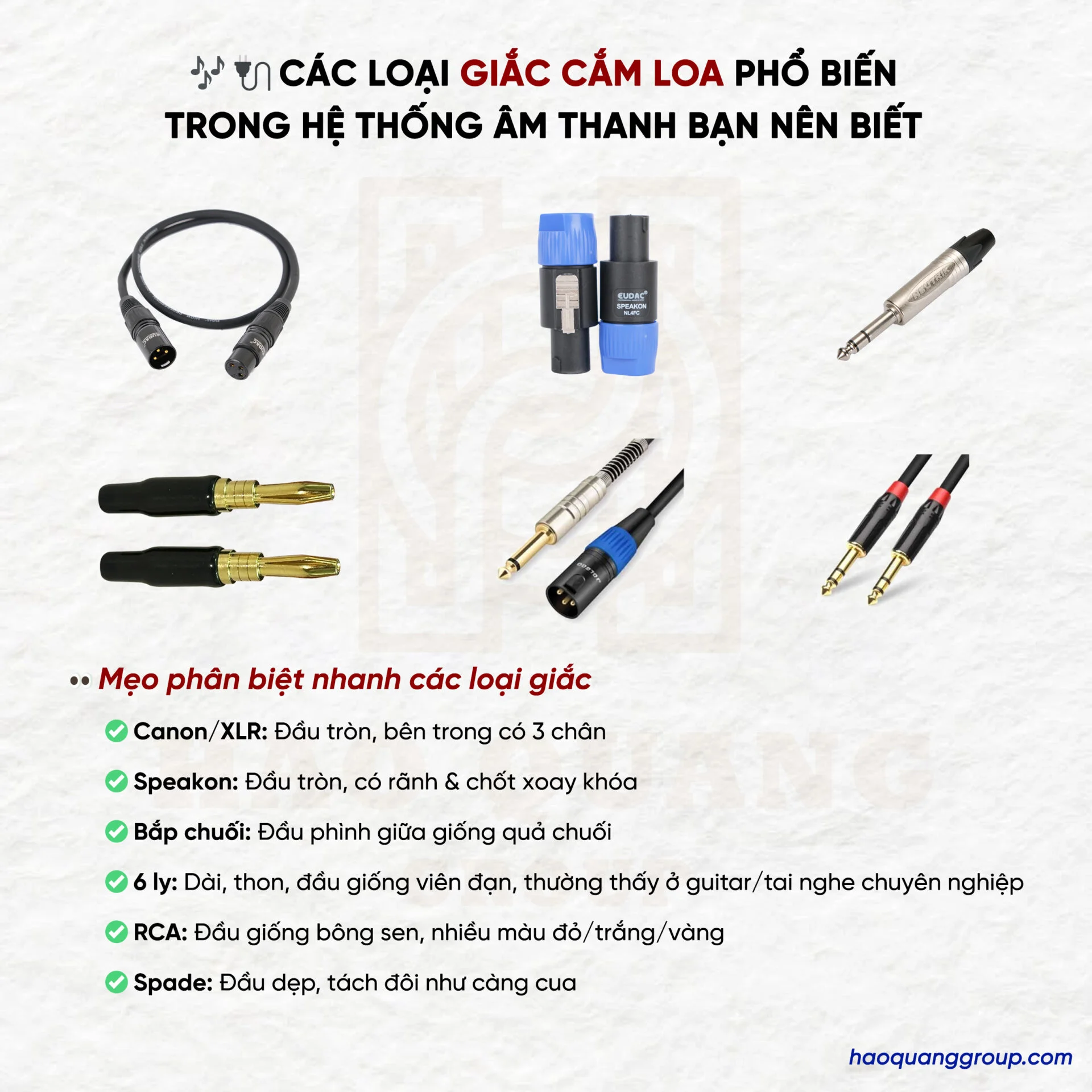 Top 8 Loa Martin Bass 40 Chất Lượng Cao, Giá Tốt Nhất Hiện Nay 6 Loa Martin bass 40 F215