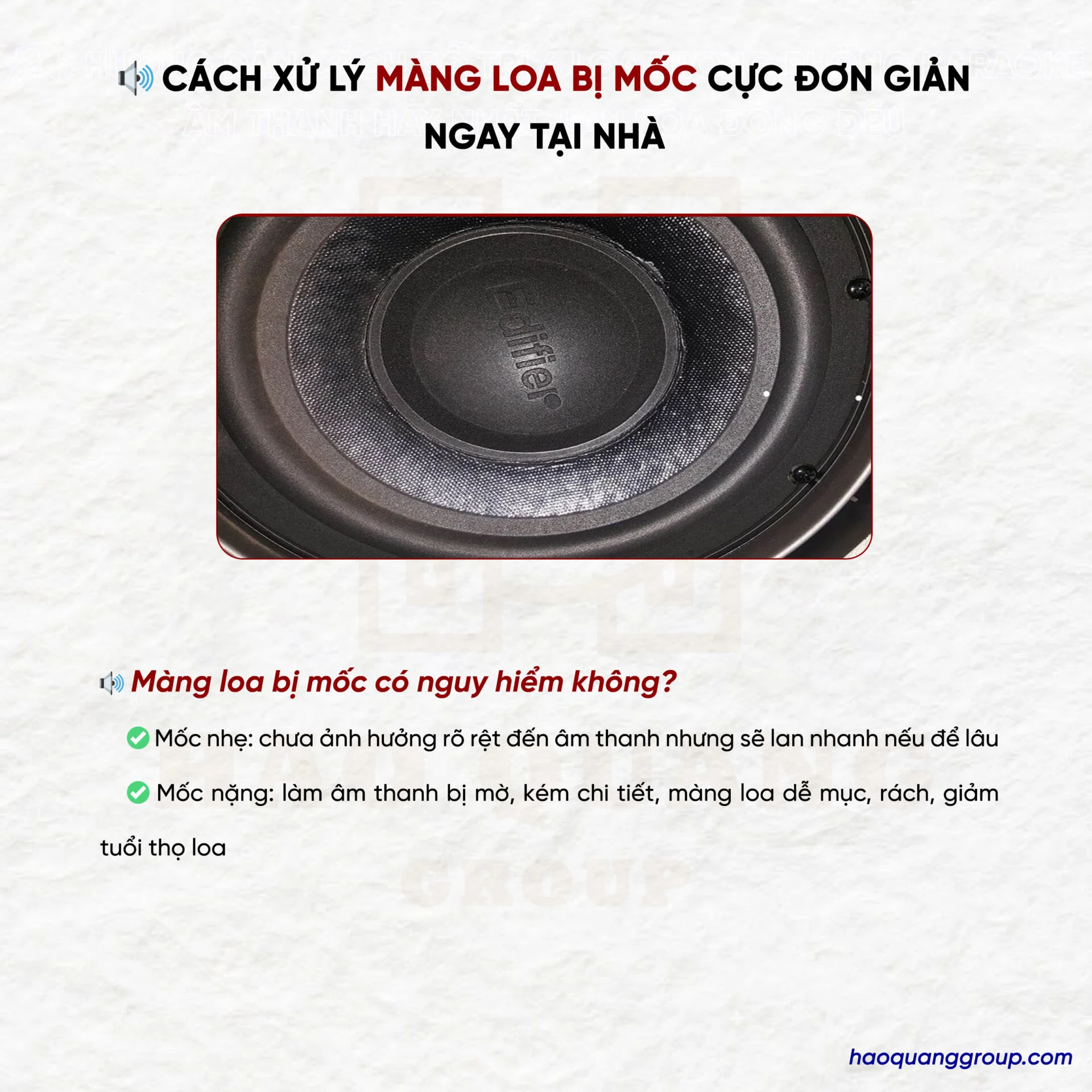 Cách xử lý màng loa bị mốc cực đơn giản ngay tại nhà 11 Cach xu ly mang loa bi moc cuc don gian ngay tai nha 1