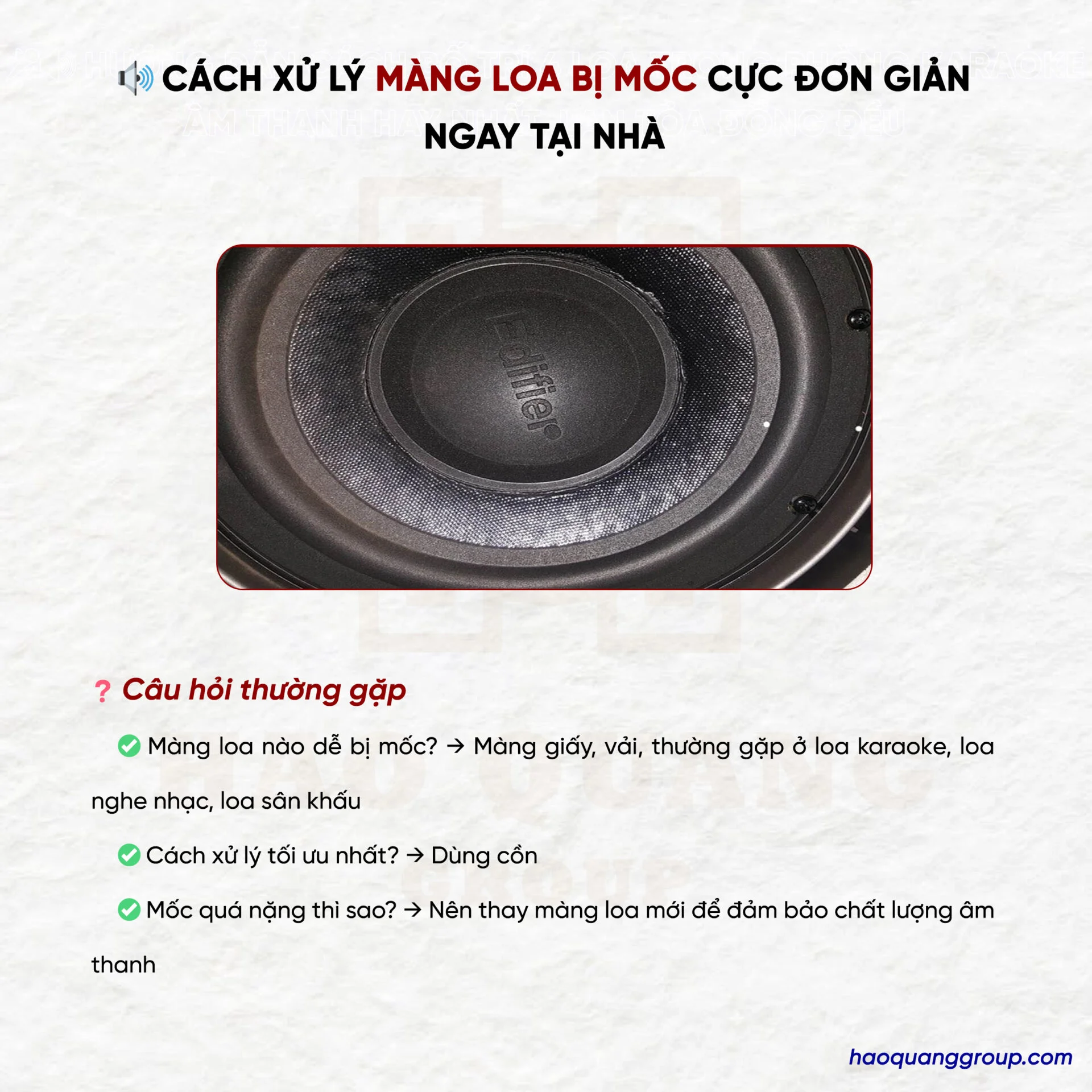 Cách xử lý màng loa bị mốc cực đơn giản ngay tại nhà 15 Cach xu ly mang loa bi moc cuc don gian ngay tai nha 5