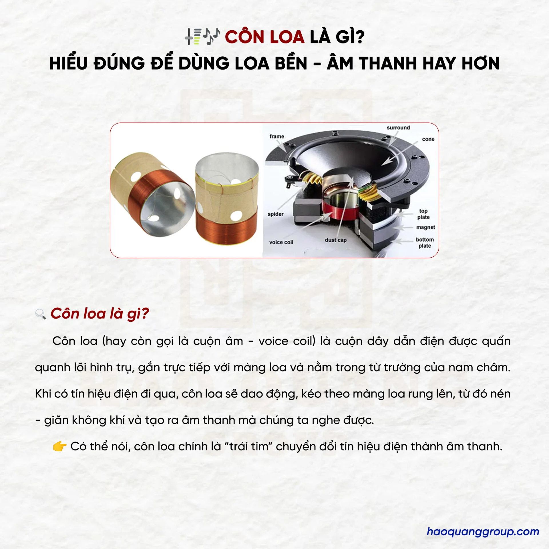 Côn loa là gì? Nguyên lý hoạt động của coil loa và cách thay côn loa tại nhà 10 Con loa la gi Hieu dung de dung loa ben am thanh hay hon 1