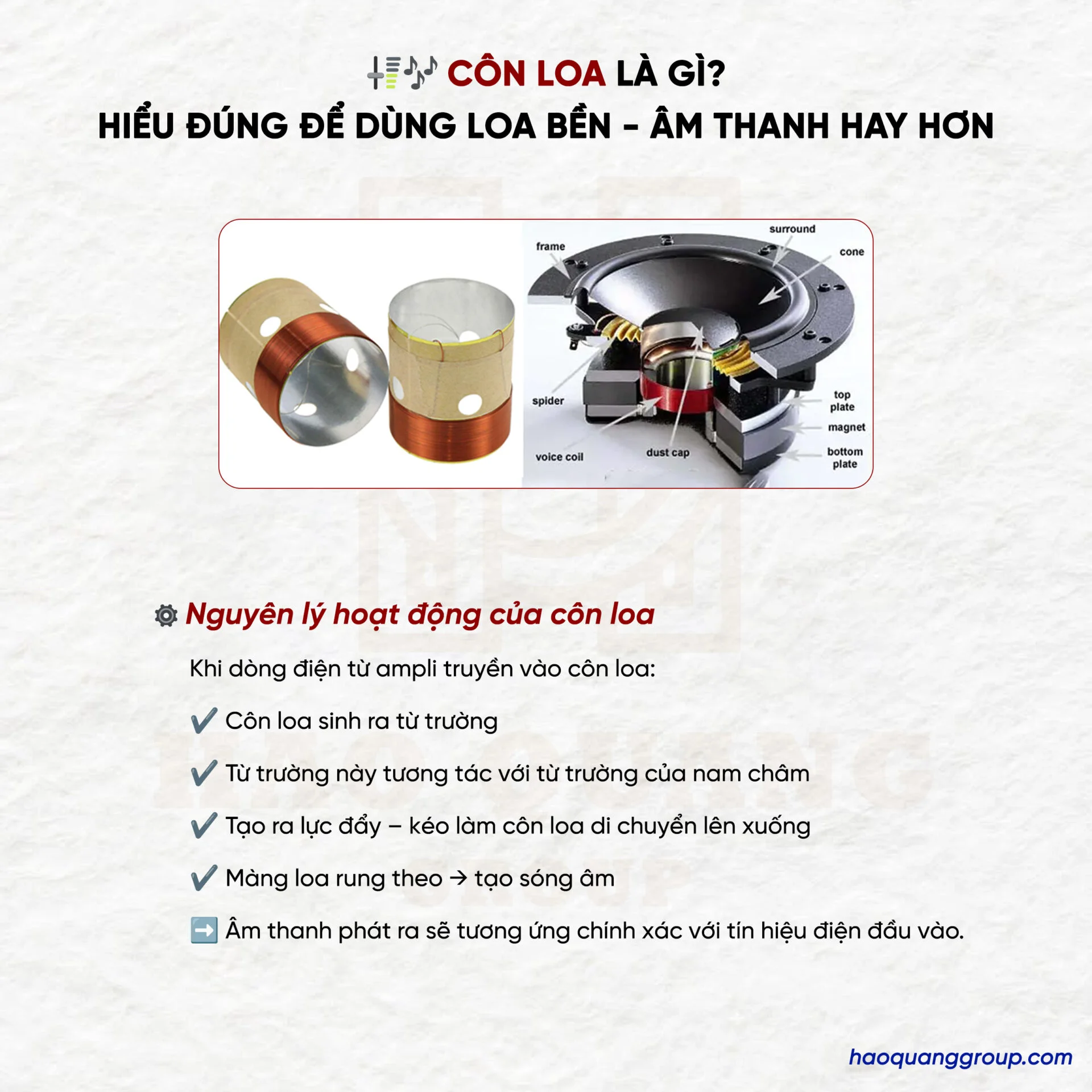 Côn loa là gì? Nguyên lý hoạt động của coil loa và cách thay côn loa tại nhà 11 Con loa la gi Hieu dung de dung loa ben am thanh hay hon 2
