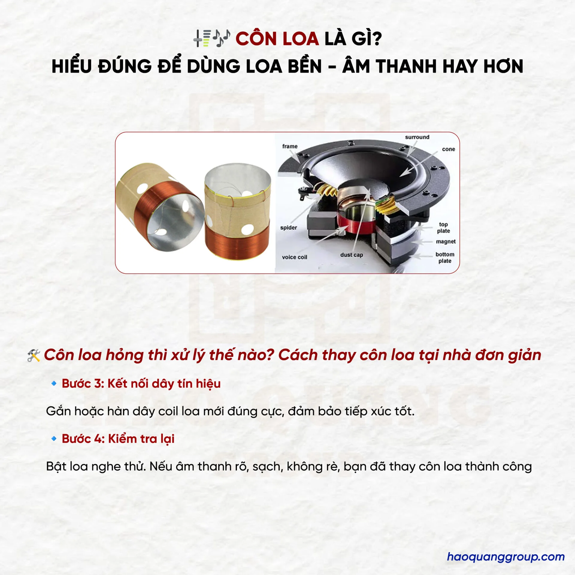 Côn loa là gì? Nguyên lý hoạt động của coil loa và cách thay côn loa tại nhà 14 Con loa la gi Hieu dung de dung loa ben am thanh hay hon 5