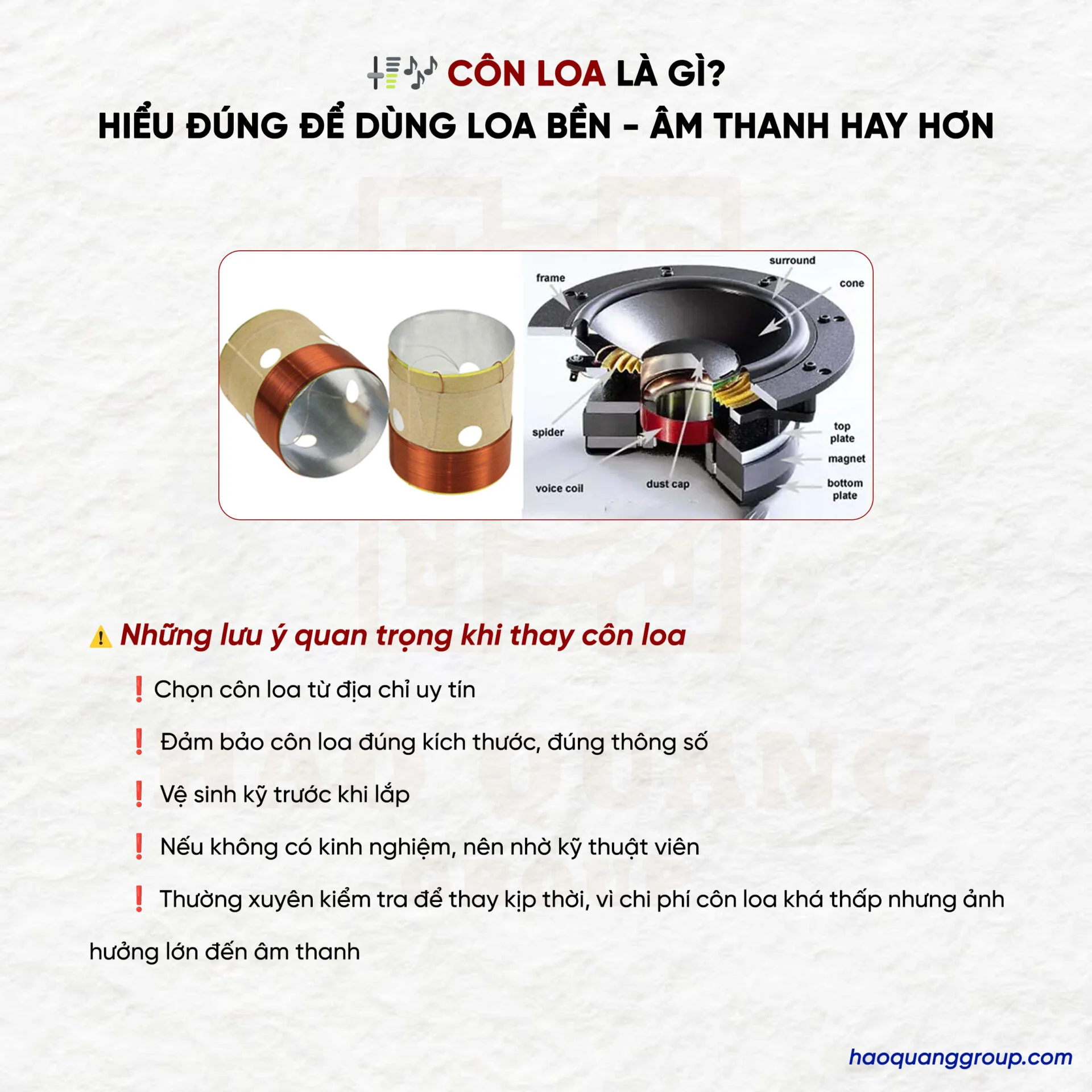 Côn loa là gì? Nguyên lý hoạt động của coil loa và cách thay côn loa tại nhà 15 Con loa la gi Hieu dung de dung loa ben am thanh hay hon 6