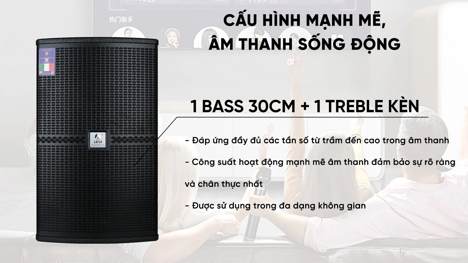 Loa Karaoke LEQI AUDIO HZ-12I Pro 14 LEQI HZ-12 Pro với công suất cao, tần số rộng âm thanh sống động