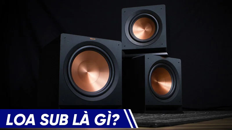 Loa sub được thiết kế để có thể tái tạo các âm thanh ở dải tần số thấp hoặc cực thấp Loa sub được thiết kế để có thể tái tạo các âm thanh ở dải tần số thấp hoặc cực thấp