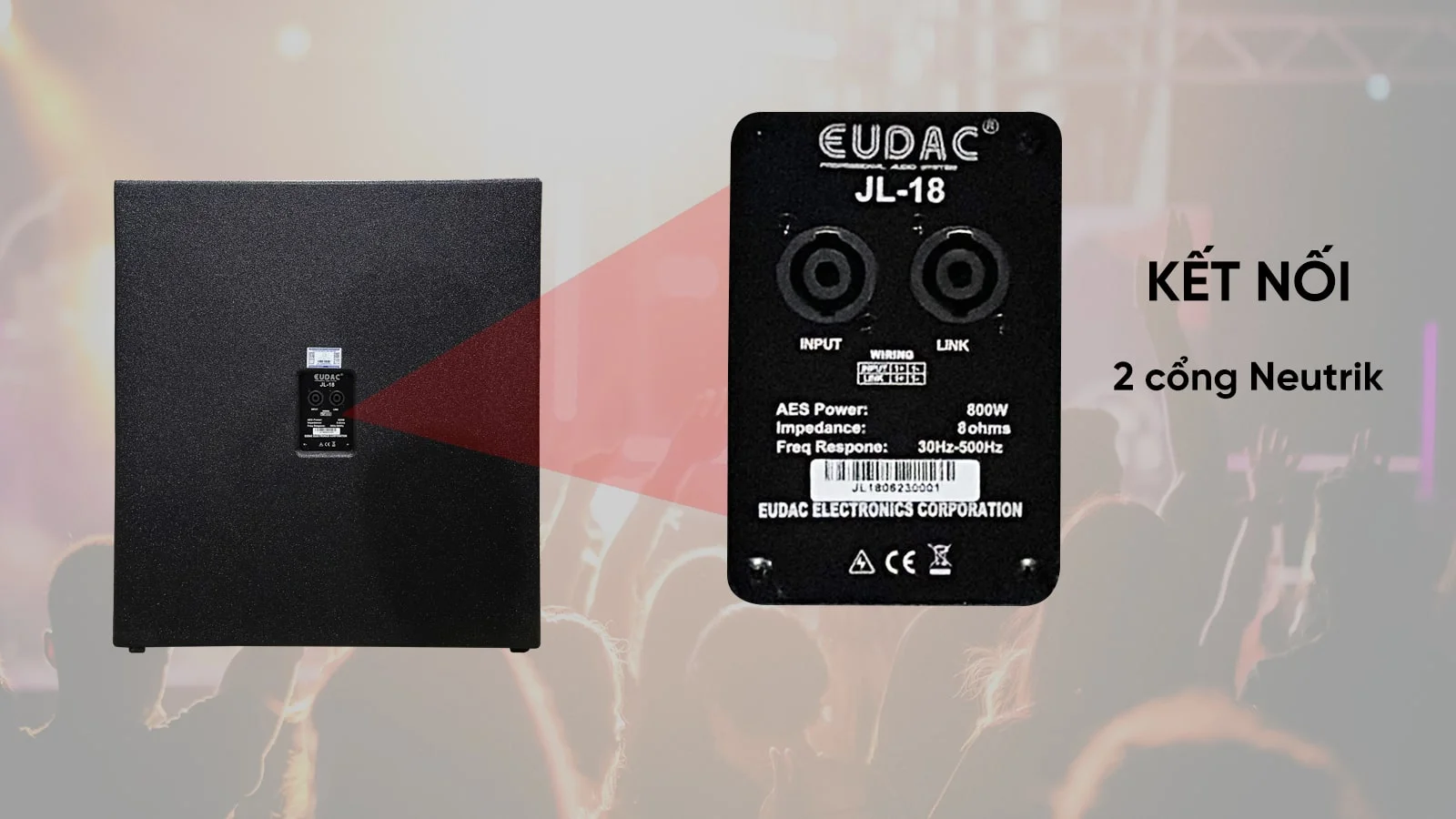 Mặt sau sub EUDAC AUDIO JL-18 với các cổng kết nối thuận tiện cho người dùng Mặt sau sub EUDAC AUDIO JL-18 với các cổng kết nối thuận tiện cho người dùng