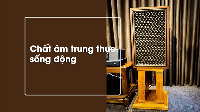 Cách tra cứu các đời loa Pioneer nhanh chóng, chính xác 4 Pioneer nổi tiếng với khả năng tái tạo âm thanh chi tiết, sắc nét và mạnh mẽ