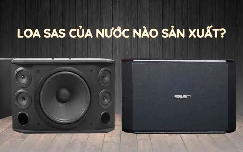 Khám phá dòng loa SAS Bass 25 có gì hay? 2 loa SAS của nước nào sản xuất?
