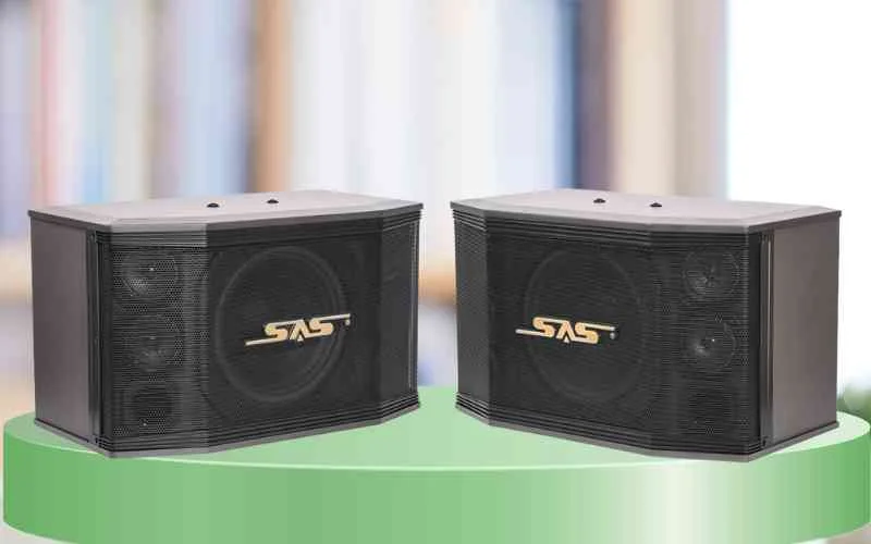Khám phá dòng loa SAS Bass 25 có gì hay? 4 Loa SAS Bass 25 phù hợp với mọi không gian từ phòng khách gia đình đến phòng karaoke chuyên nghiệp.