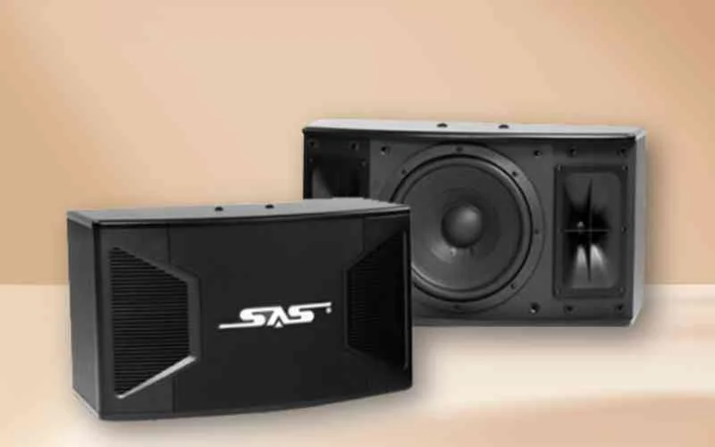 Khám phá dòng loa SAS Bass 25 có gì hay? 5 Loa SAS Bass 25 sự lựa chọn tinh tế cho hệ thống âm thanh.