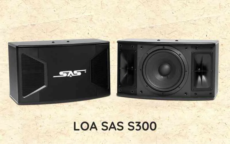 Khám phá dòng loa SAS Bass 25 có gì hay? 6 Loa SAS Bass 25 S300 tạo ra âm trầm sâu, chắc và mạnh mẽ.