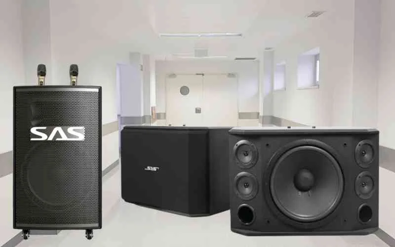 Khám phá dòng loa SAS Bass 25 có gì hay? 1 Khám phá dòng loa SAS Bass 25