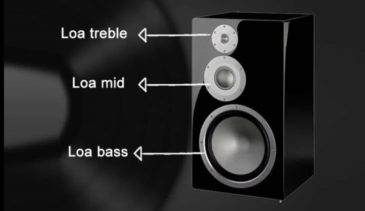 Khám Phá Loa Treble Giấy Cao Cấp: Gợi Ý 5 Lựa Chọn Hàng Đầu Cho Bạn 3 Đặc điểm chung của loa treble giấy cao cấp