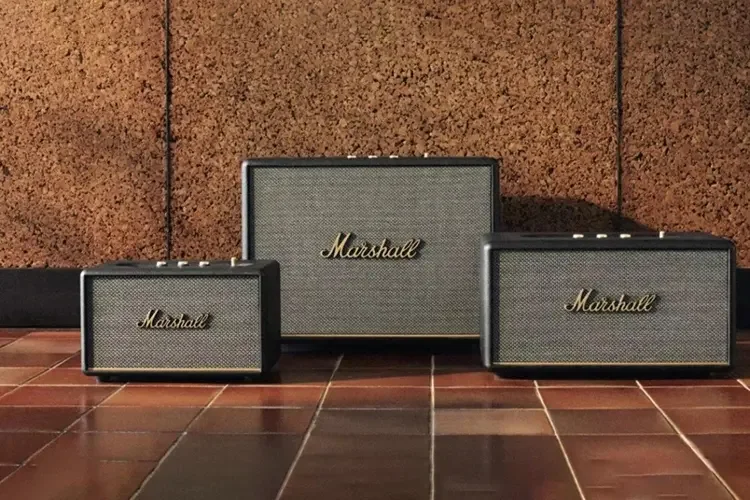 Loa Marshall của nước nào? (Hình 2)
