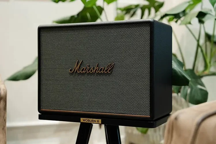 Loa Marshall của nước nào? (Hình 6)