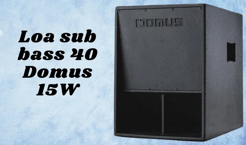 Top 5 Loa Sub Điện Bass 40 Chất Lượng Nên Mua 4 Loa sub điện bass 40 Domus 15W âm trầm, uy lực