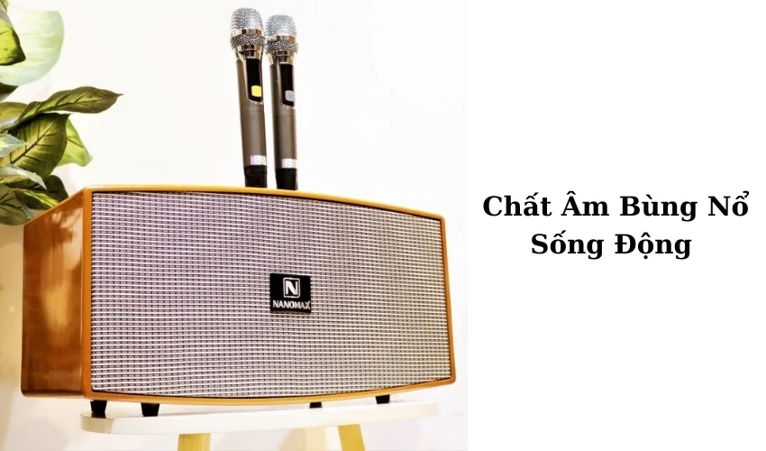 Top 5 Loa Xách Tay Nanomax Giá Thành Hợp Lý, Chất Lượng Cao 2 Loa Nanomax xách tay cho tái tạo âm thanh đỉnh cao