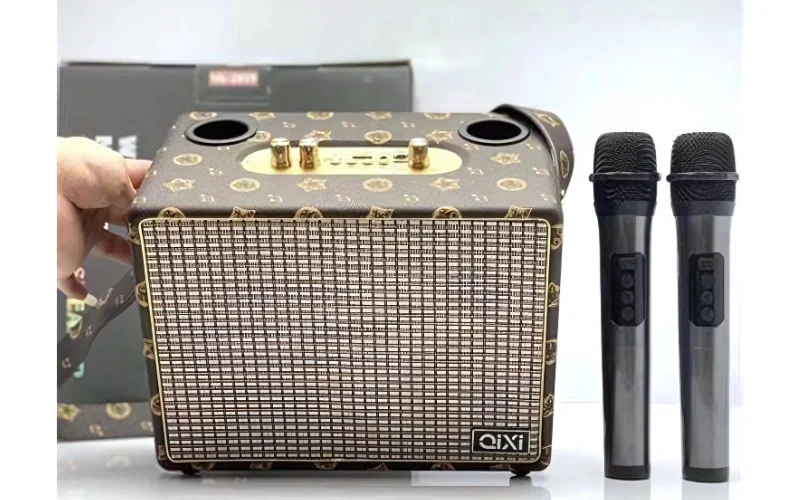 TOP 7+ Loa karaoke mini cầm tay hiện đại, hát hay 7 Loa karaoke mini cầm tay Qixi SK-2036 có thiết kế ấn tượng