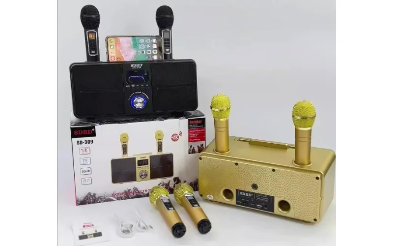 TOP 7+ Loa karaoke mini cầm tay hiện đại, hát hay 8 Loa karaoke SDRD SD 309 Mini đi kèm 2 chiếc micro UHF