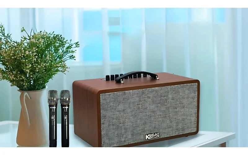 TOP 7 Loa xách tay Acnos hiện đại, ấn tượng nhất 10 Loa Acnos CS390 có thiết kế cổ diển, sang trọng