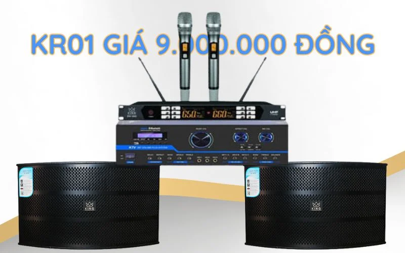 TOP dàn karaoke gia đình dưới 10 triệu hot nhất hiện tại 2 Dàn karaoke gia đình dưới 10 triệu KR01 giá 9.000.000 đồng.