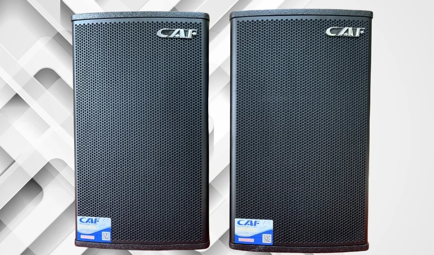 Top Loa CAF Bass 30 - Lựa Chọn Hoàn Hảo Cho Âm Thanh Đỉnh Cao 8 Loa CAF Bass 30 LV 12