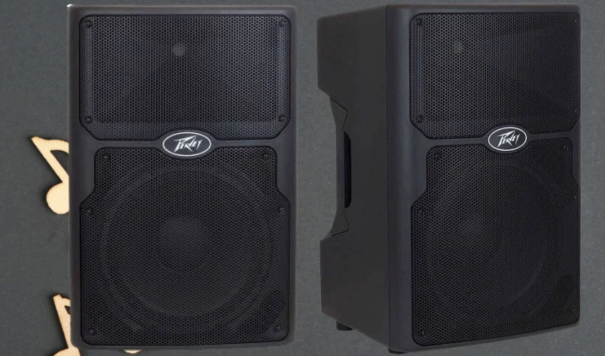 TOP Loa Peavey bass 30 chính hãng chất lượng cao, giá tốt 6 Loa Peavey bass 30 PVXp 12