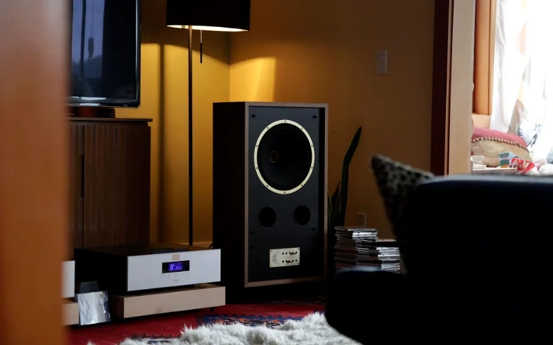 TOP Mẫu loa 100 triệu sở hữu chất âm đẳng cấp nhất hiện nay! 5 Loa hơn 100 triệu Tannoy Cheviot