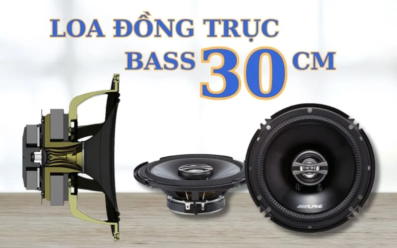 Top loa đồng trục bass 30 đáng mua nhất